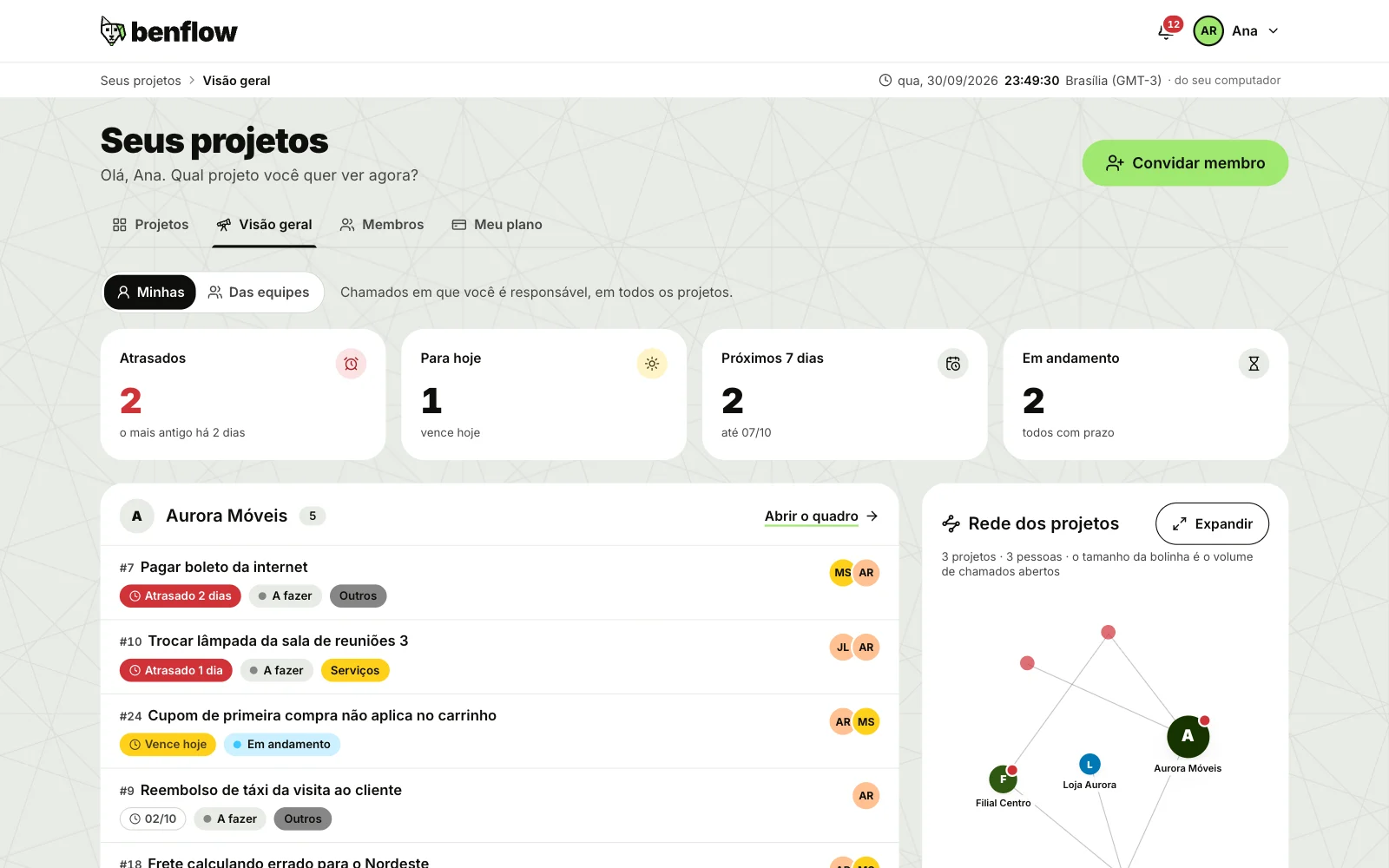 Seus projetos, aba Visão geral, com os chamados de todos os projetos e a rede dos projetos