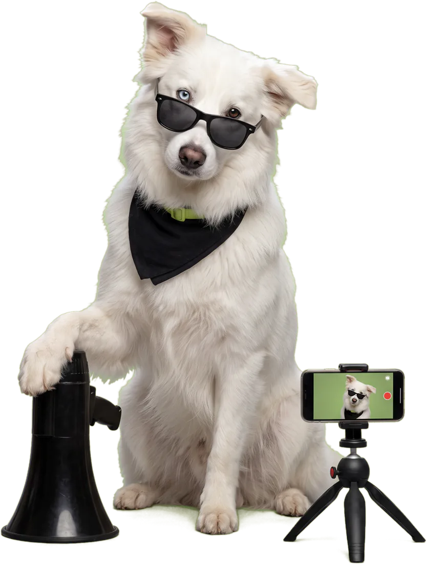 O Bento, cachorro branco do benflow, de óculos escuros e bandana preta, com a pata num megafone e um celular gravando ao lado