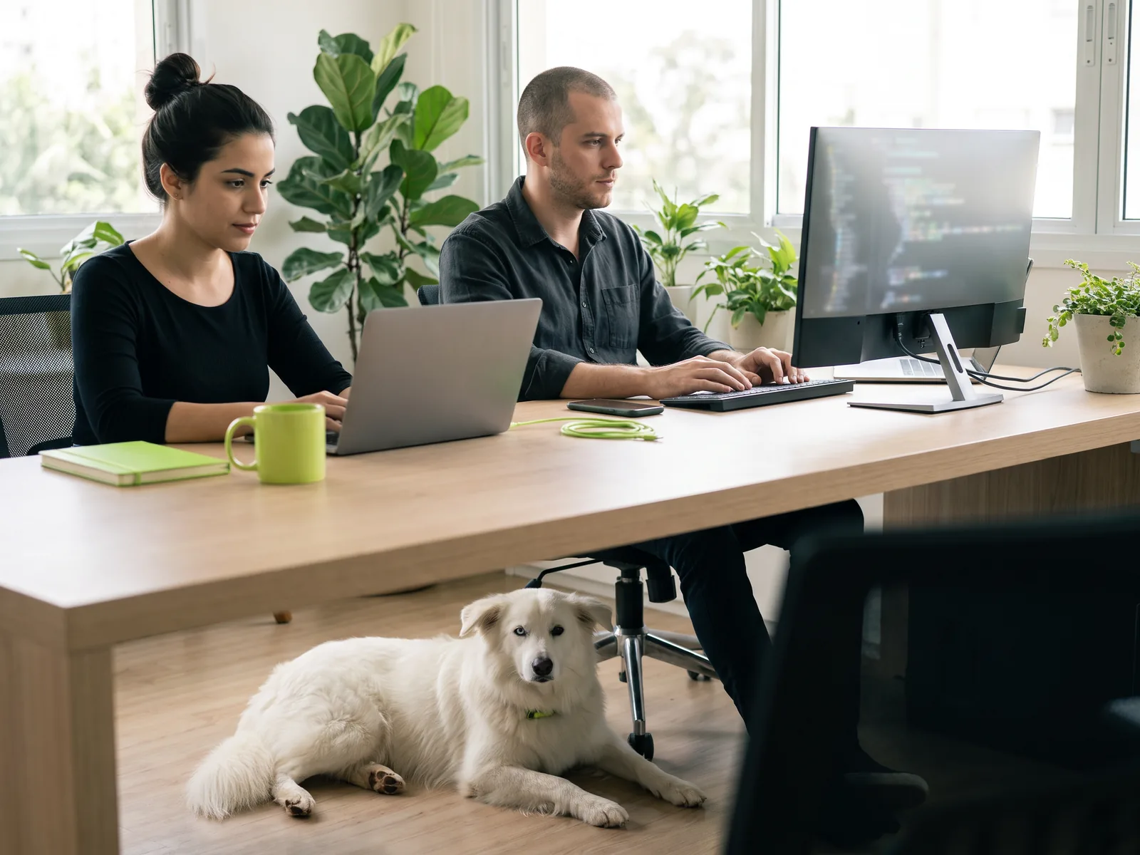Two developers focused on the laptop and monitor, with Bento, the fluffy white dog, lying under the desk